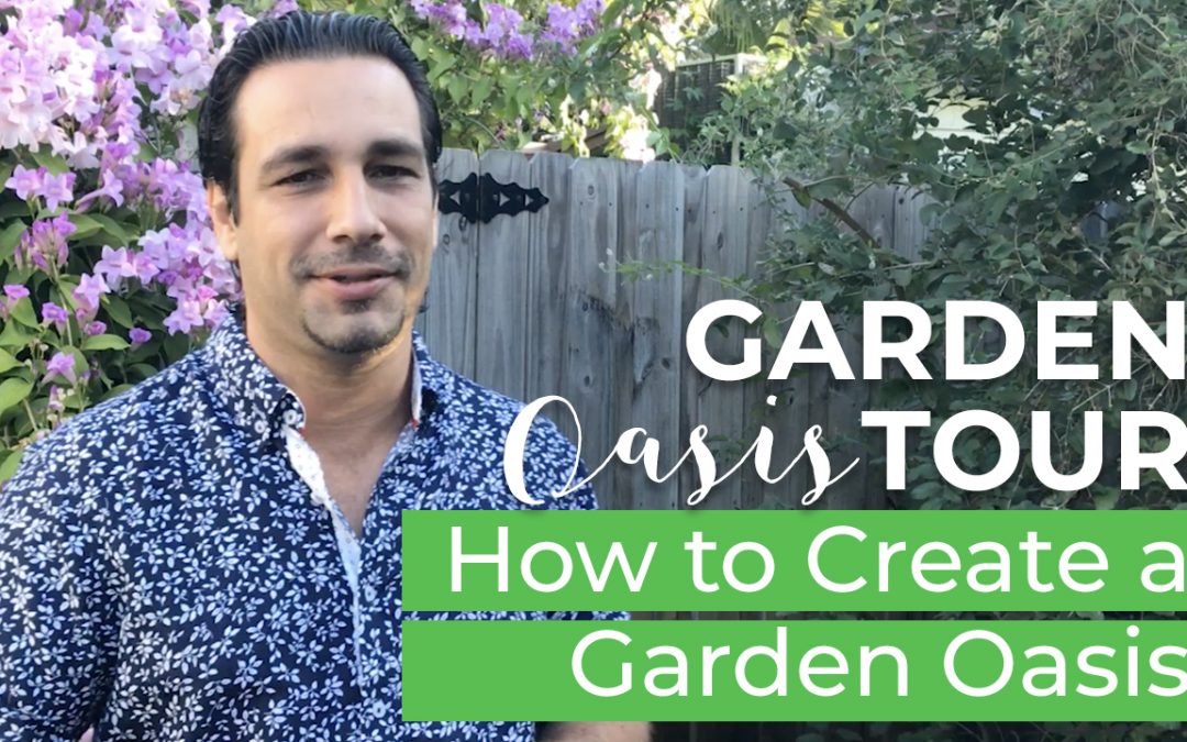 Garden Oasis Tour | How to Create a Garden Oasis In Your Backyard